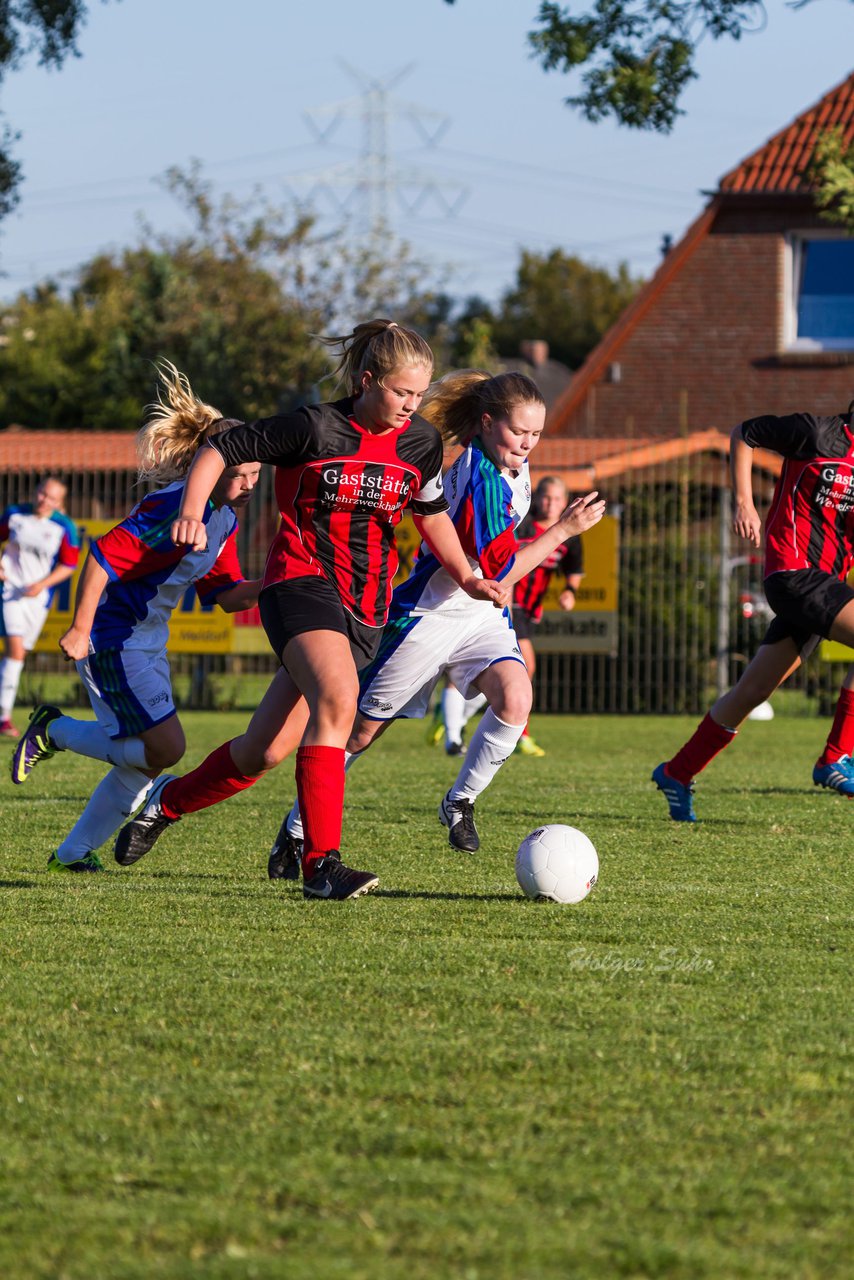 Bild 197 - B-Juniorinnen SG Wilstermarsch - SV Henstedt Ulzburg : Ergebnis: 5:1